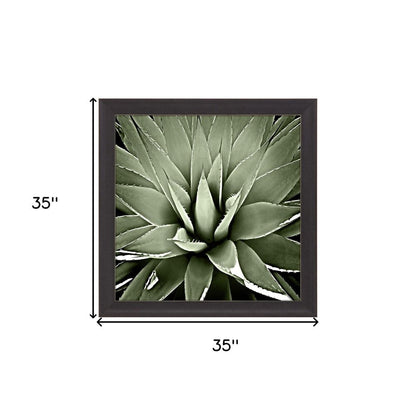 Green Succulent III Brown Framed Print Wall Art