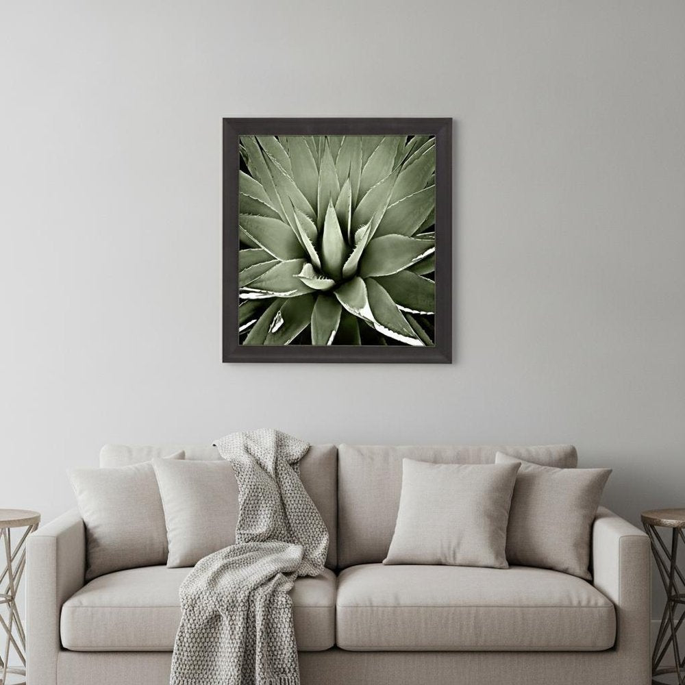 Green Succulent III Brown Framed Print Wall Art
