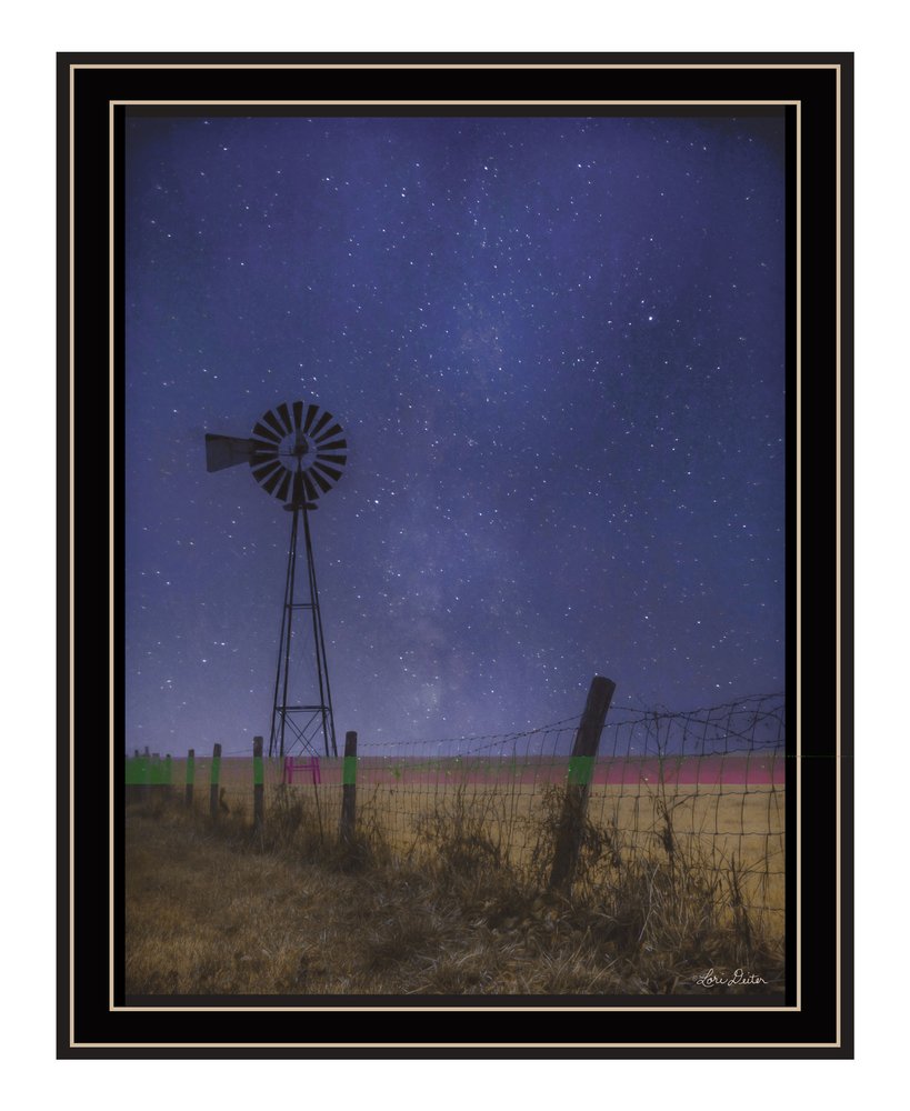 Starlit Night Black Framed Print Wall Art HomeRoots