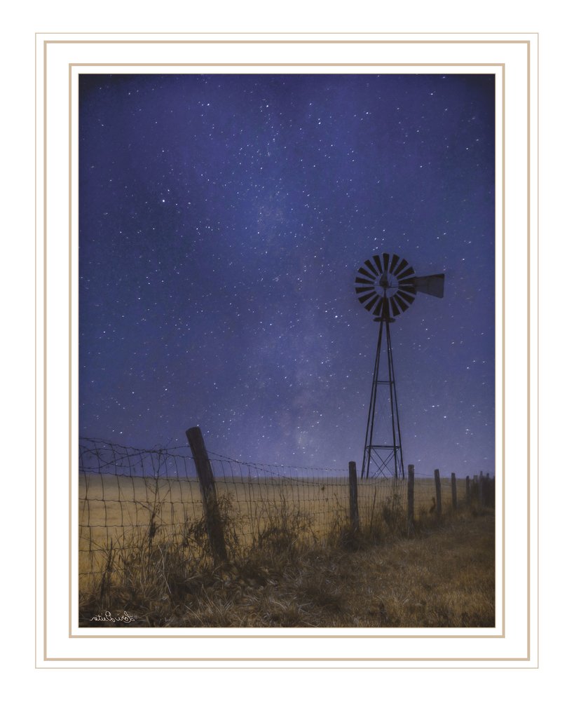 Starlit Night Black Framed Print Wall Art HomeRoots
