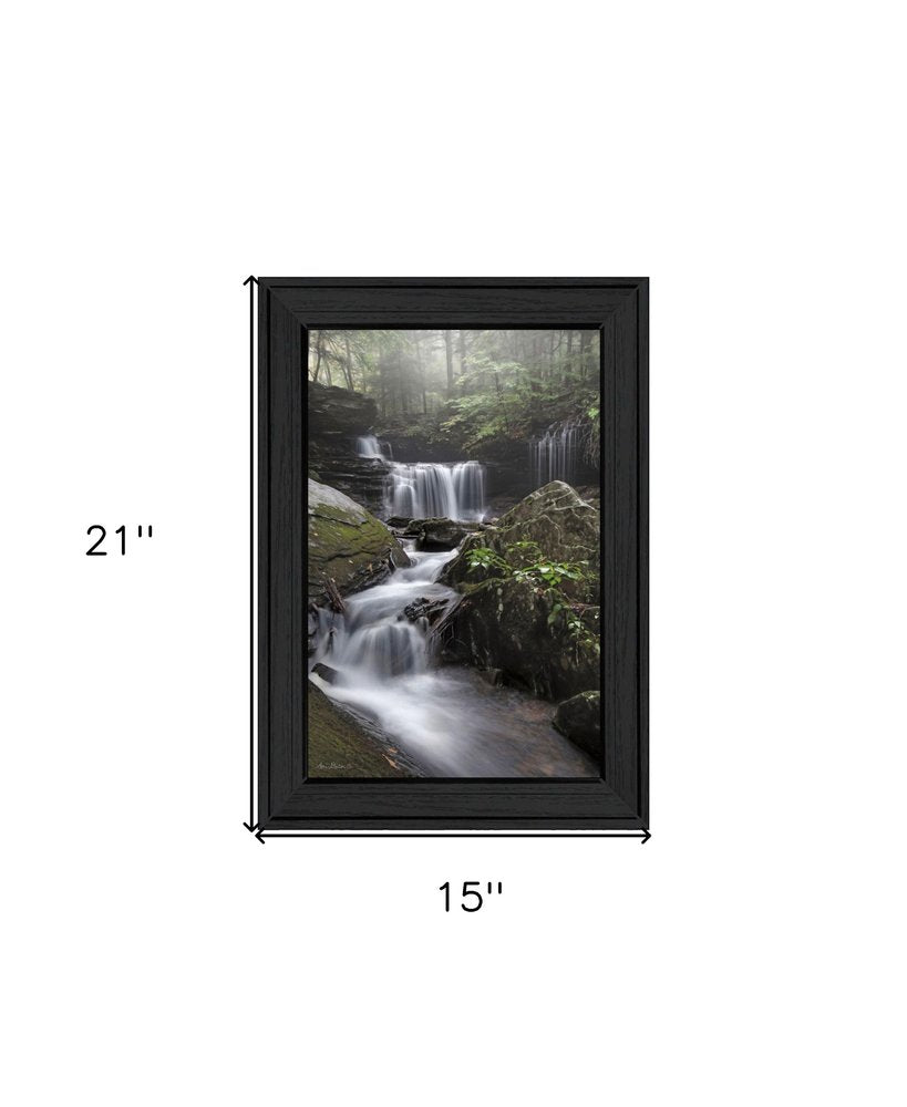 Ricketts Waterfall Black Framed Wall Art HomeRoots