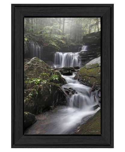 Ricketts Waterfall Black Framed Wall Art HomeRoots