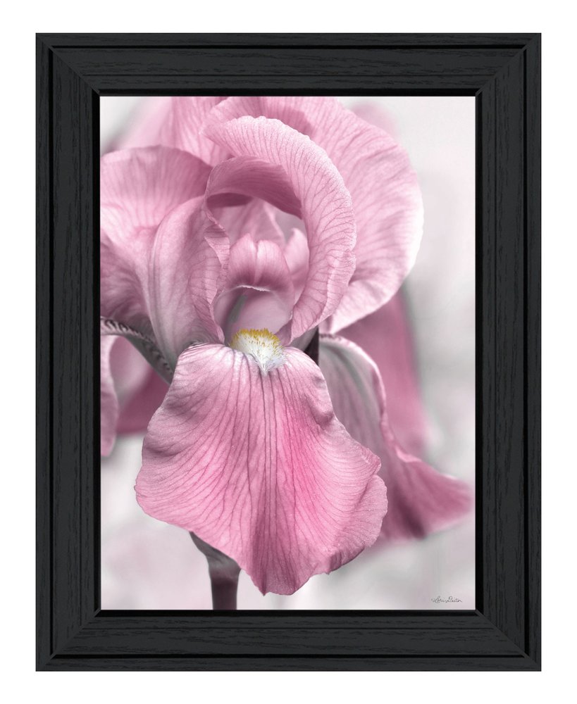 Pink Iris Black Framed Print Wall Art — view 1