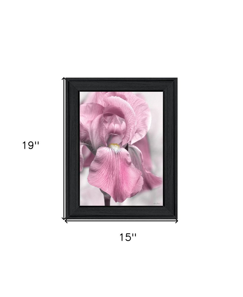 Pink Iris Black Framed Print Wall Art HomeRoots