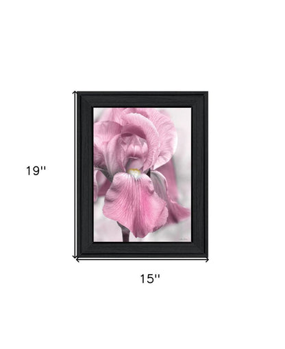 Pink Iris Black Framed Print Wall Art HomeRoots