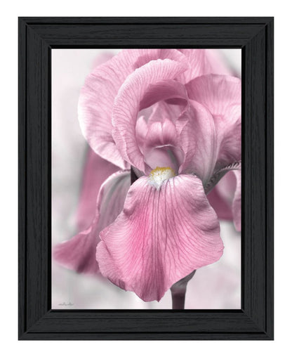 Pink Iris Black Framed Print Wall Art HomeRoots