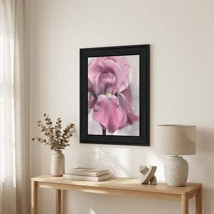 Pink Iris Black Framed Print Wall Art HomeRoots