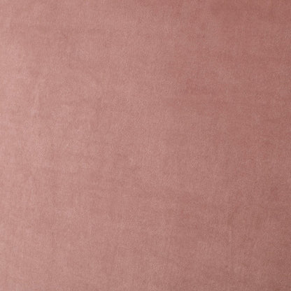 Blush Velvet Upholstered Queen Bed Frame With Nailhead Trim