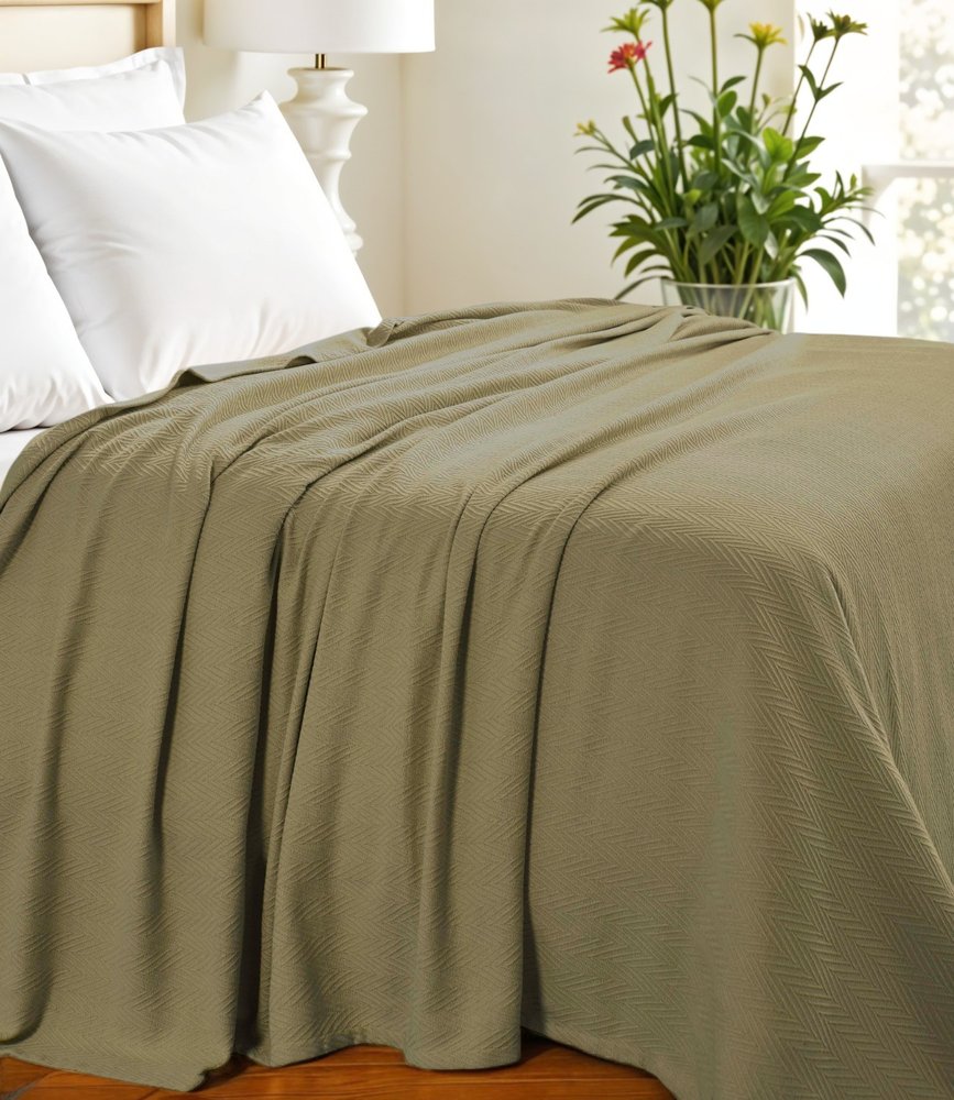 Twin Sage Cotton Woven Chevron Blanket HomeRoots