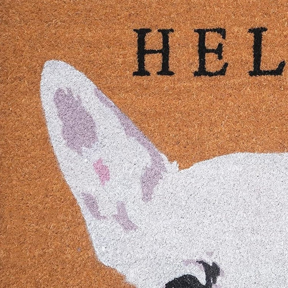 17" X 29" Natural Black and White Coir Chihuahua Hello Outdoor Door Mat HomeRoots