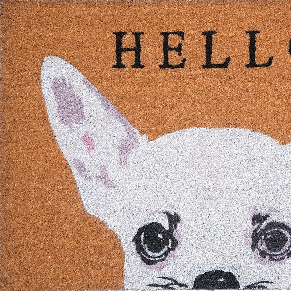 24" X 36" Natural Black and White Coir Chihuahua Hello Outdoor Door Mat HomeRoots