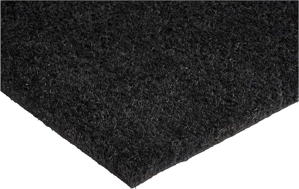 17" X 29" Black and White Coir Skull Outdoor Halloween Door Mat HomeRoots