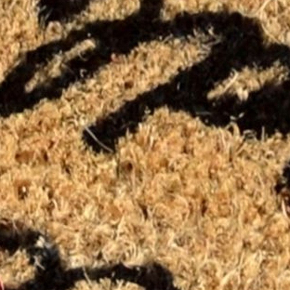 18" X 30" Red White and Blue Coir Flip Flop Welcome Outdoor Door Mat HomeRoots