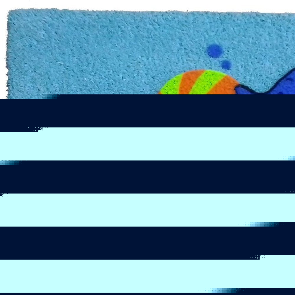 18" X 30" Blue Coir Dolphin Outdoor Door Mat HomeRoots