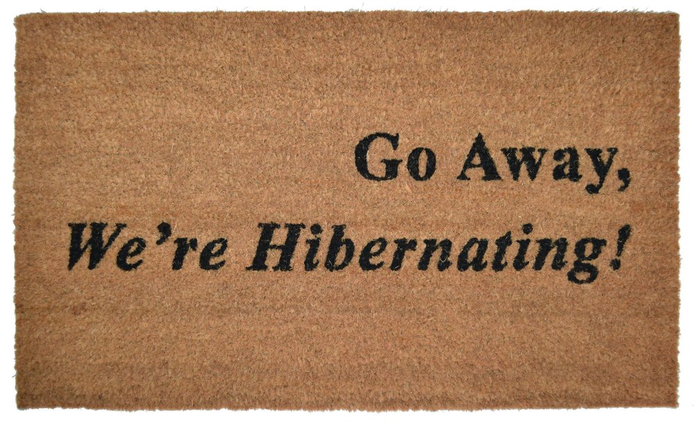 18" X 30" Brown and Black Coir Go Away We Are Hibernating Outdoor Door Mat HomeRoots