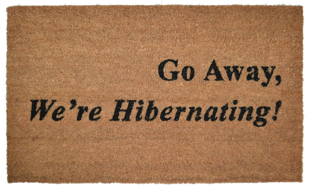 18" X 30" Brown and Black Coir Go Away We Are Hibernating Outdoor Door Mat HomeRoots