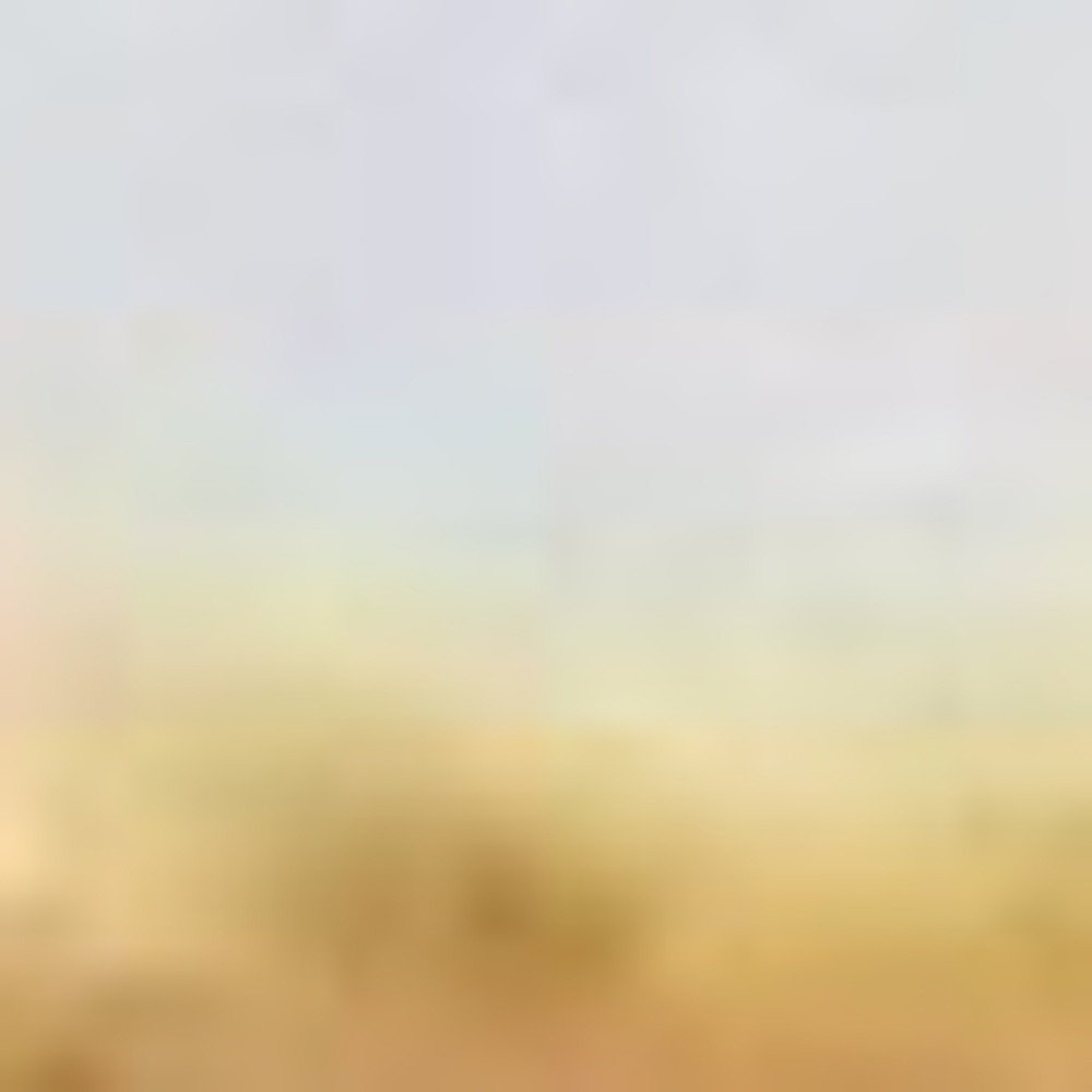 24" X 36" Brown and Red Coir Floral Outdoor Door Mat HomeRoots