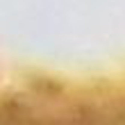 24" X 36" Brown and Red Coir Floral Outdoor Door Mat HomeRoots