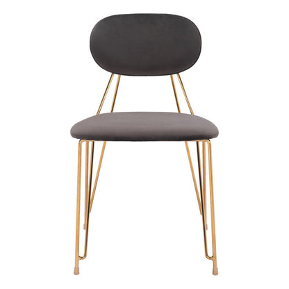 Set of Two Gray And Gold Velvet And Wood And Steel Open Back Dining Side Chairs HomeRoots