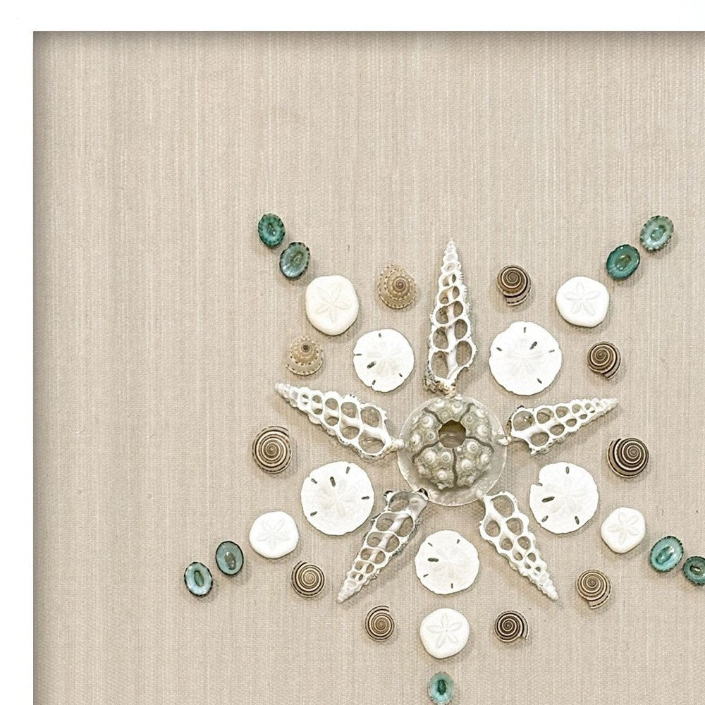Caparazon Seashells and Coastal Icons White Framed Wall Art — view 4