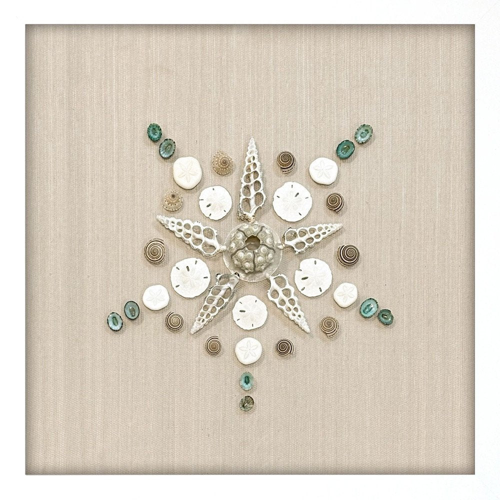 Caparazon Seashells and Coastal Icons White Framed Wall Art HomeRoots