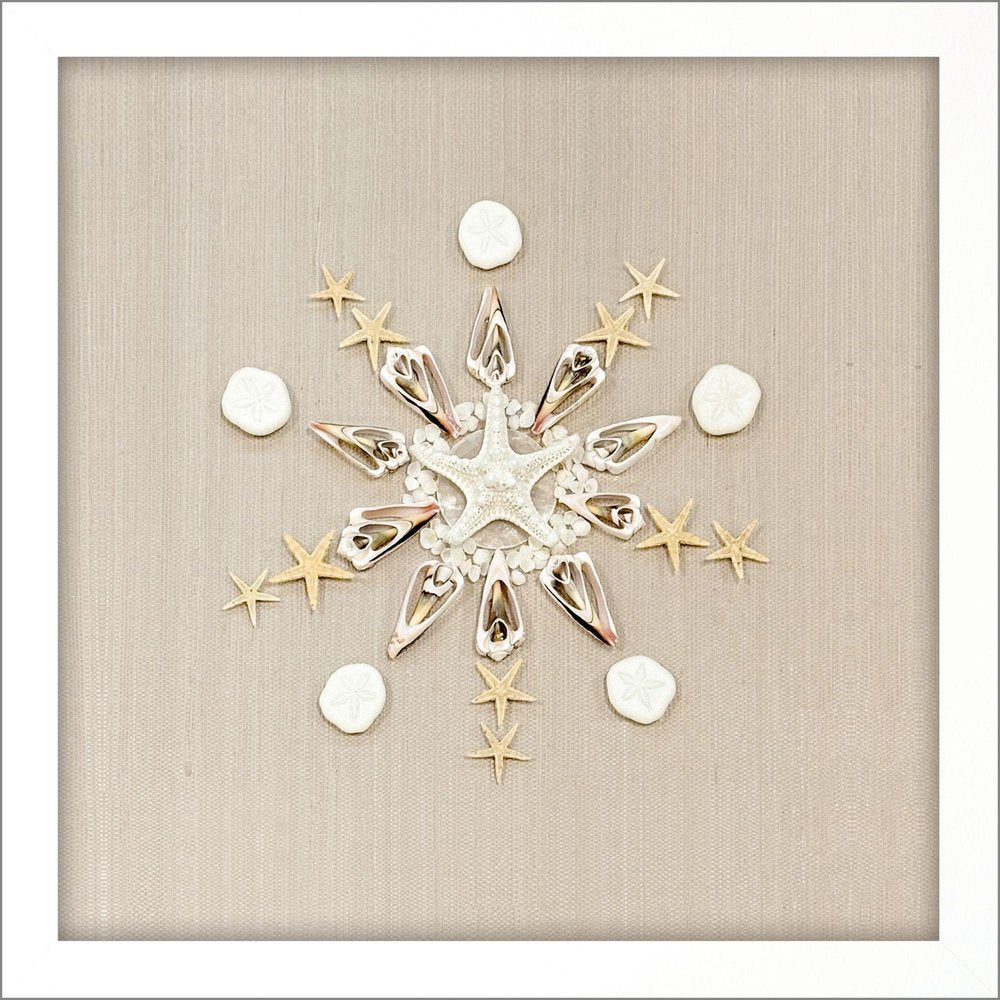 Caparazon Seashells and Coastal Icon White Framed Wall Art HomeRoots