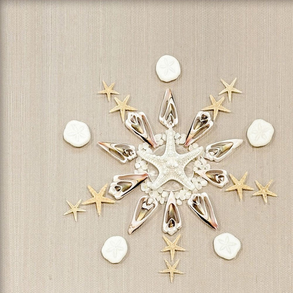 Caparazon Seashells and Coastal Icon White Framed Wall Art HomeRoots