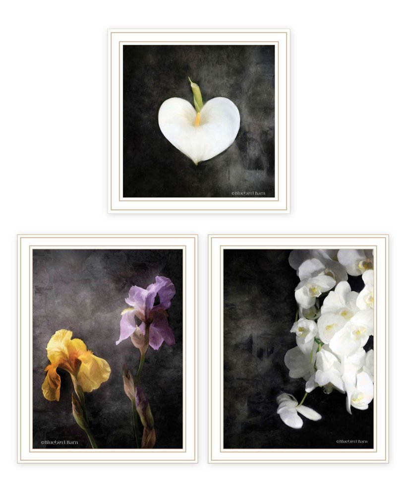 Set Of Three Botanical Flowers Collection White Framed Wall Art — view 1