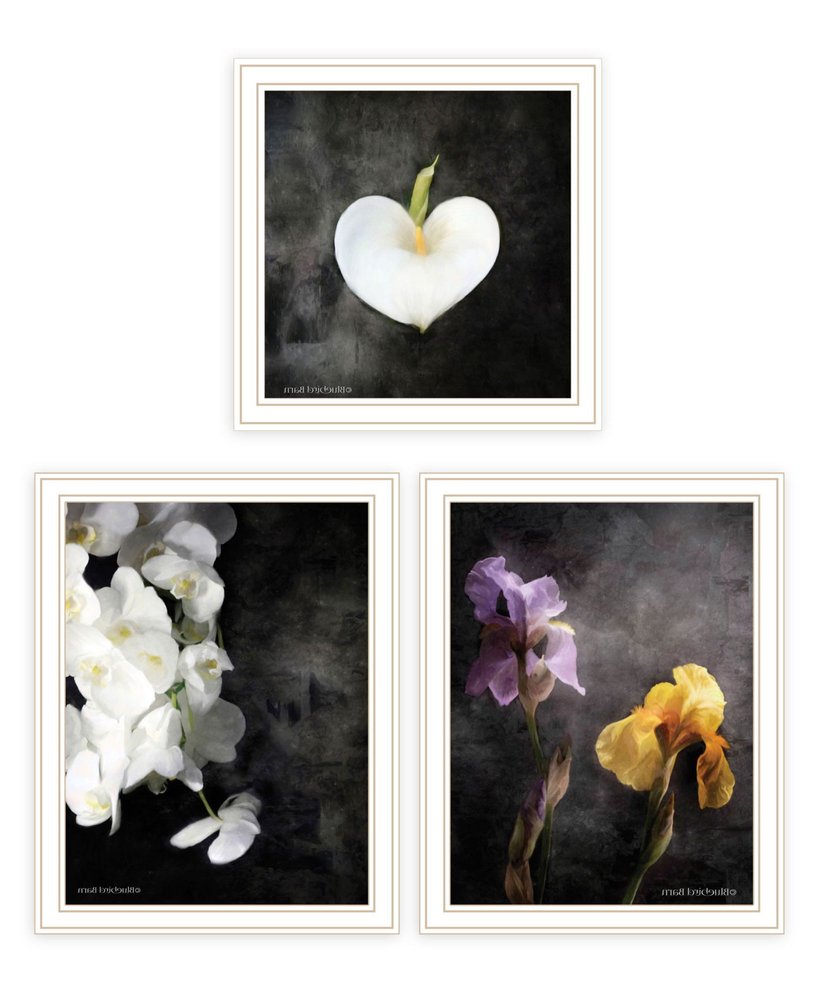 Set Of Three Botanical Flowers Collection White Framed Wall Art HomeRoots