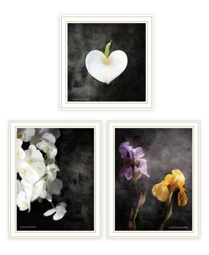 Set Of Three Botanical Flowers Collection White Framed Wall Art HomeRoots