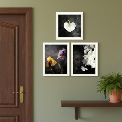 Set Of Three Botanical Flowers Collection White Framed Wall Art HomeRoots