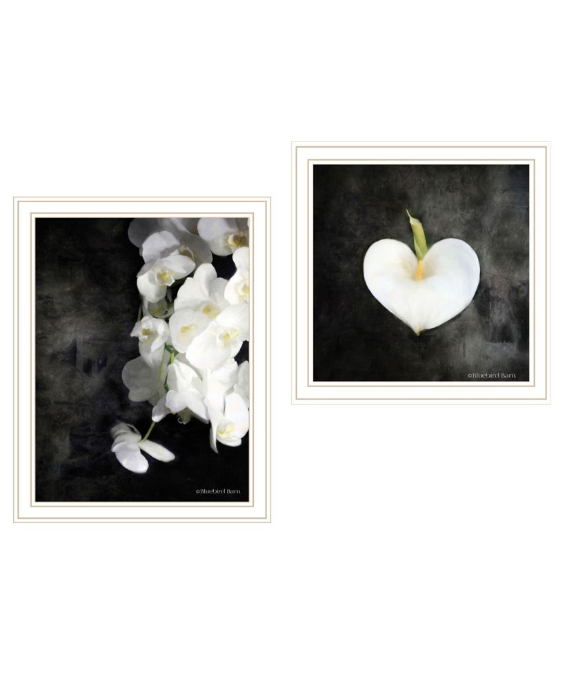Set Of Two "Botanical Flowers " White Framed Wall Art HomeRoots