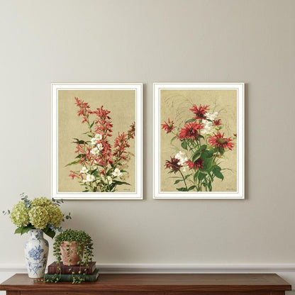 Set Of Two Meadow Flowers White Framed Wall Art