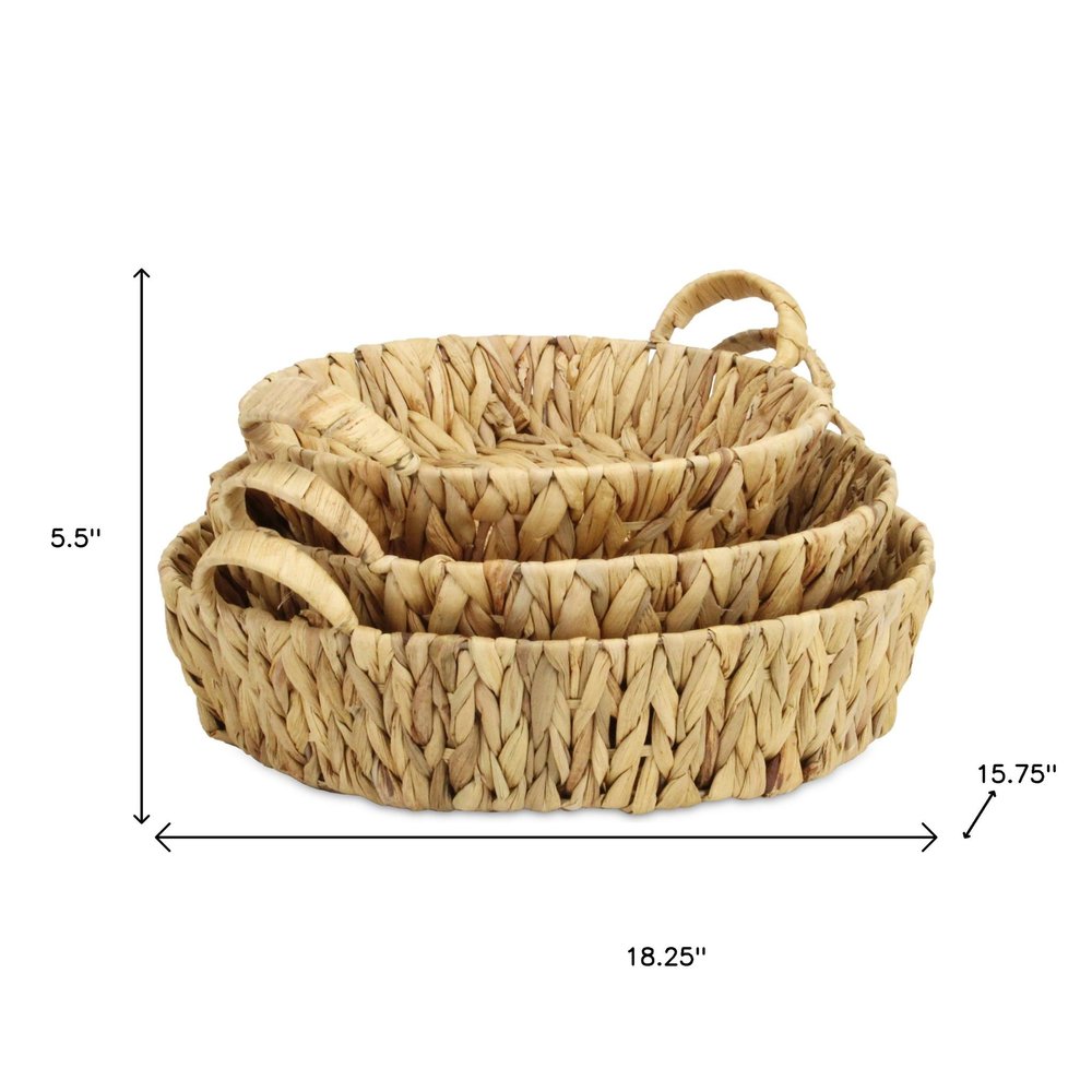 Set of Three Natural Water Hyacinth Basket HomeRoots