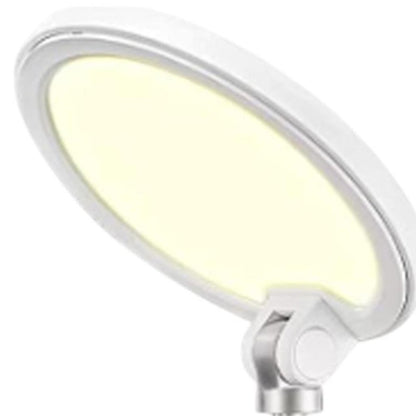 22" White Metal And Plastic Adjustable Portable Desk Lamp LED With Phone Clamp HomeRoots