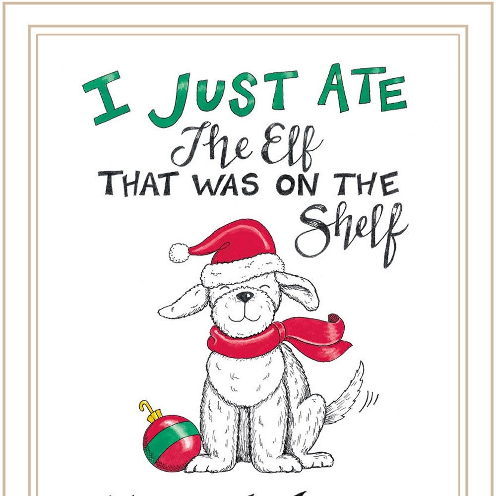 Set Of Two Dear Santa I Can Explain White Framed Wall Art HomeRoots