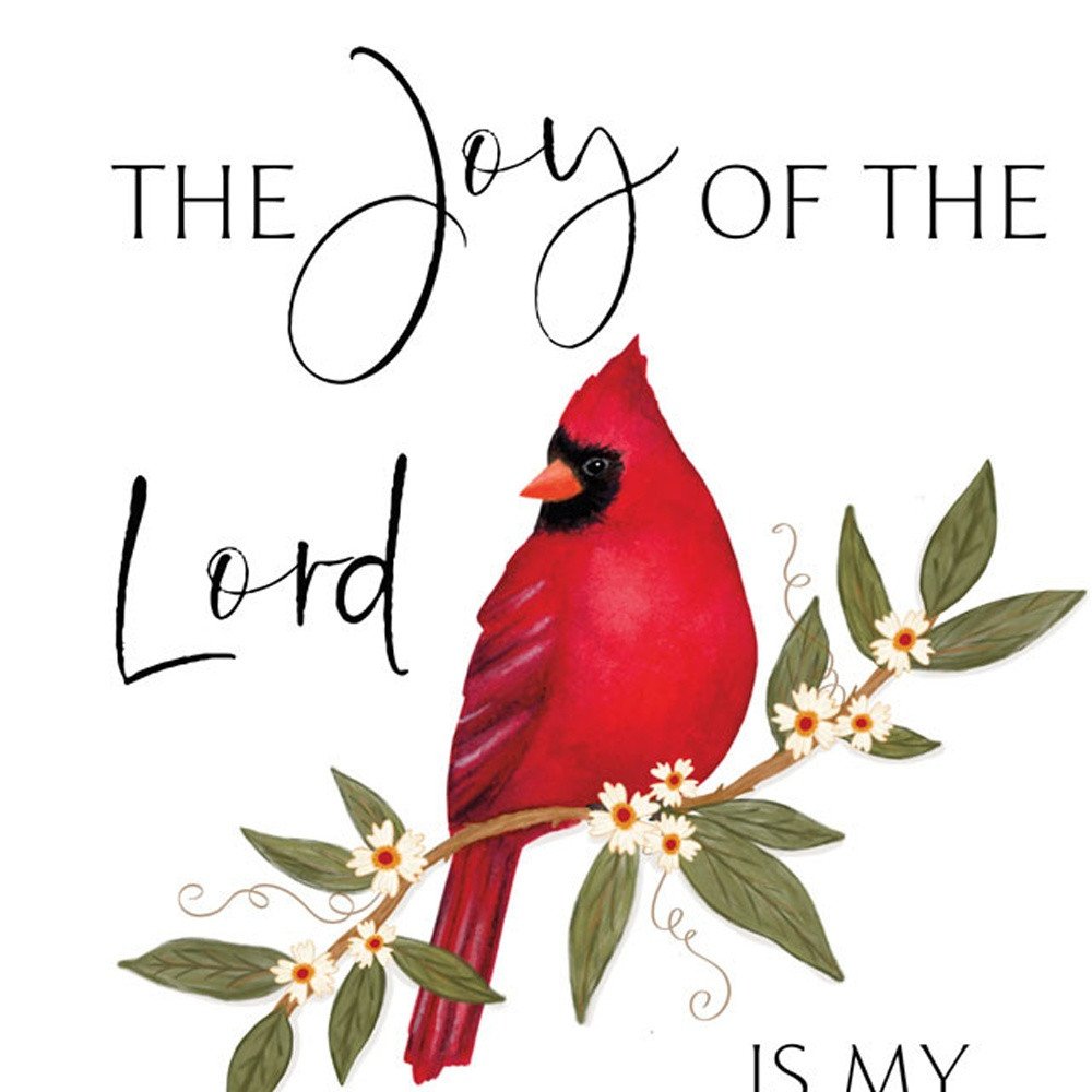 Set Of Two The Lord is MY Strength - Red Cardinals White Framed Wall Art HomeRoots