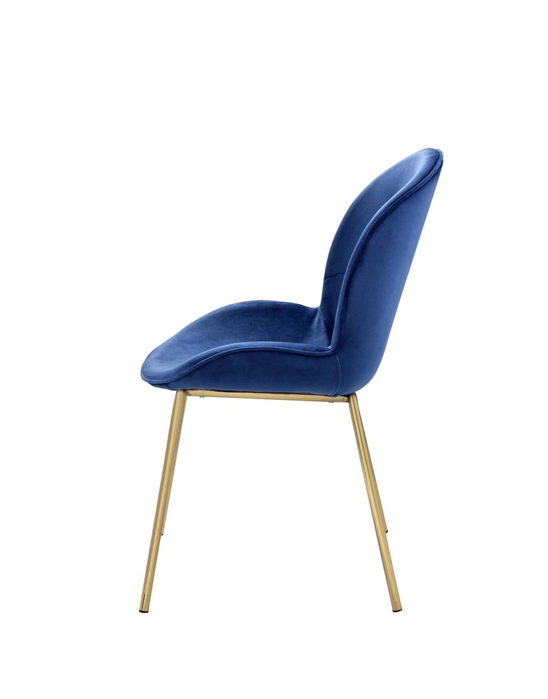 Set of Two Blue And Gold Velvet And Metal Dining Side Chairs HomeRoots
