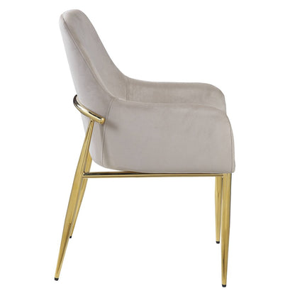 Set of Two Gray and Gold Velvet And Wood and Metal Dining Side Chairs HomeRoots