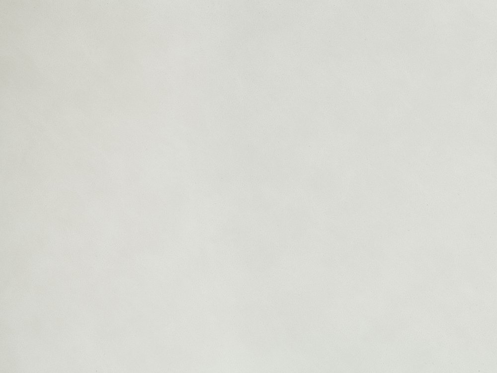 Set of Two White and Gold Upholstered Faux Leather And Metal Dining Side Chairs HomeRoots