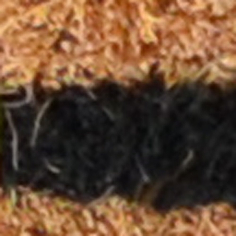 20" X 30" Brown and Black Coir Animal Print Outdoor Door Mat — view 5