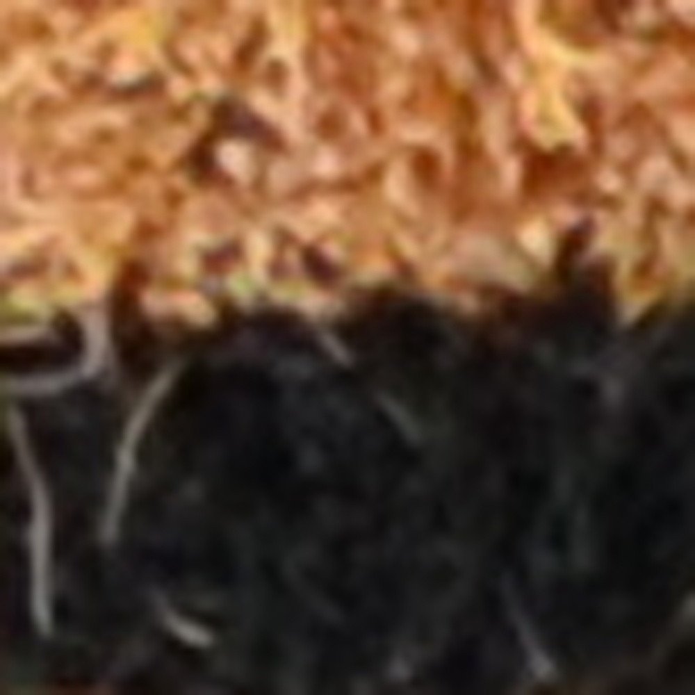 20" X 30" Brown and Black Coir Animal Print Outdoor Door Mat — view 8
