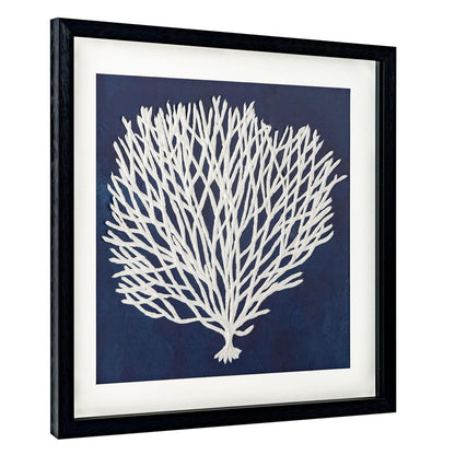 Sea Fan I Black Shadowbox Textual Art Wall Art HomeRoots