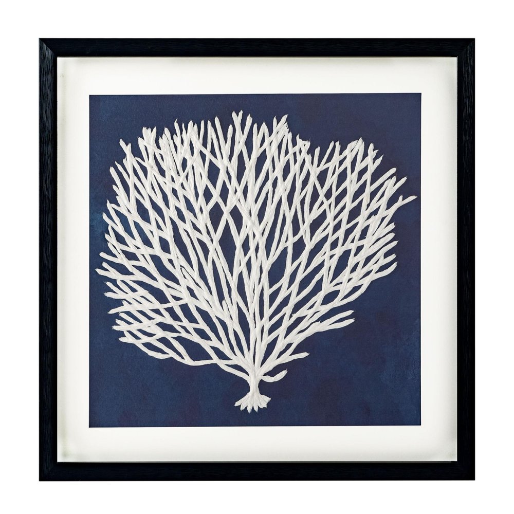 Sea Fan I Black Shadowbox Textual Art Wall Art — view 2