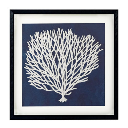 Sea Fan I Black Shadowbox Textual Art Wall Art HomeRoots