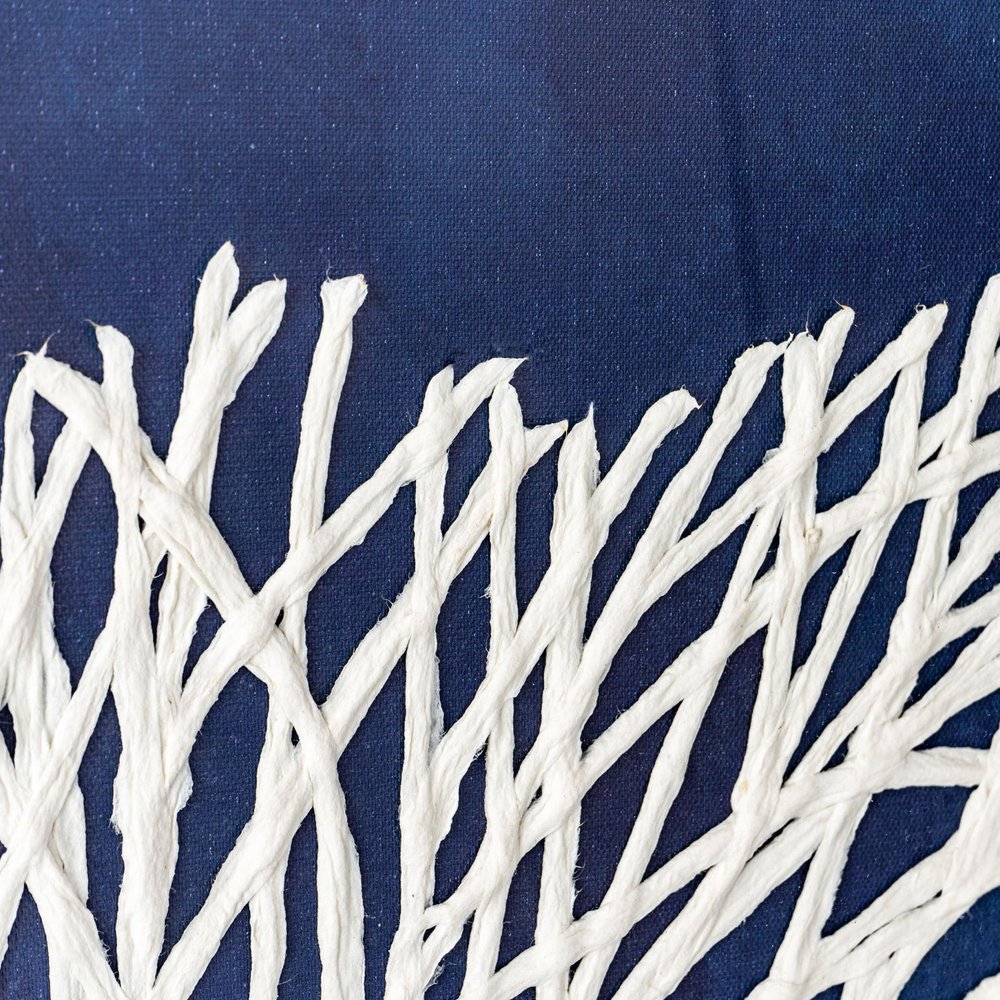 Sea Fan I Black Shadowbox Textual Art Wall Art HomeRoots