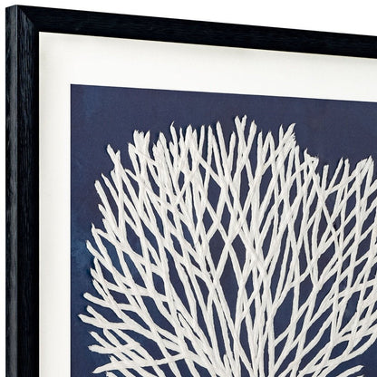 Sea Fan I Black Shadowbox Textual Art Wall Art HomeRoots