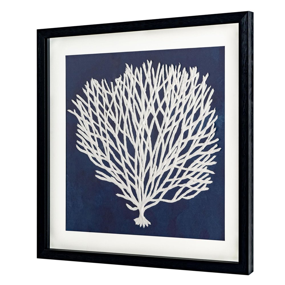 Sea Fan I Black Shadowbox Textual Art Wall Art HomeRoots