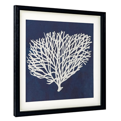 Sea Fan II Black Shadowbox Textual Art Wall Art HomeRoots