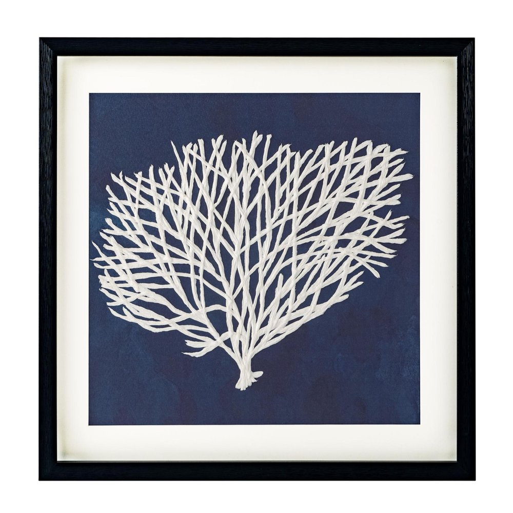 Sea Fan II Black Shadowbox Textual Art Wall Art HomeRoots